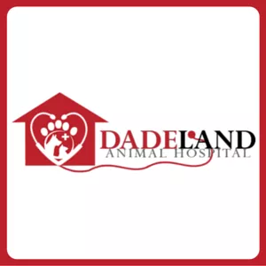 Dadeland Animal Hospital, Florida, Miami